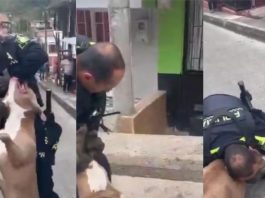 O incidente ocorreu quando o policial foi chamado para atender uma denúncia de uma mulher que alegava estar sendo ameaçada pelo próprio irmão, armado com uma faca. (Foto: Instagram)