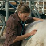 Os Veterinários: No coração do Morvan, Nico, o último veterinário da região, luta para salvar seus pacientes, sua clínica e sua família. Quando Michel, seu parceiro e mentor, anuncia sua aposentadoria, Nico sabe que o mais difícil ainda está por vir. (Foto: Divulgação)