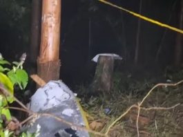 A queda ocorreu durante uma forte tempestade na região. (Foto: TV Globo)