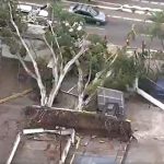 No sábado, durante o passeio, Bartho tocou o fio de alta tensão que havia se rompido durante o temporal da noite anterior, falecendo instantaneamente. (Foto: TV Globo)