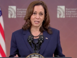 Os candidatos Donald Trump e Kamala Harris se aproximam da fase decisiva na disputa pela presidência dos Estados Unidos, mobilizando o apoio de celebridades e bilionários em seus mais recentes eventos de campanha. (Foto: X)