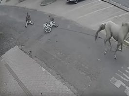 O incidente ocorreu na terça-feira (8), próximo à Associação Frei Eucário, no bairro Vila Planalto. (Foto: PMMS)