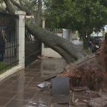 A cidade mais afetada foi Sarandi, onde 100 casas foram destelhadas, impactando cerca de 400 pessoas.(Foto: TV Globo)