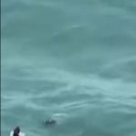 No momento do furacão, o homem estava a bordo de um barco de pesca que foi destruído em Madeira Beach, Flórida, conforme informou Nicole Groll, assessora de imprensa da Guarda Costeira. .(Foto: Youtube)