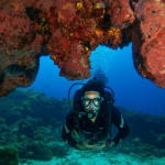 O ex- BBB mostrou seu espírito aventureiro ao mergulhar nas águas de Fernando de Noronha e nadar com tubarões e tartarugas. (Foto: Reprodução/Instagram)