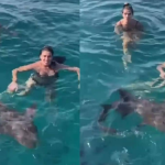 Ingrid Guimarães e Giovanna Antonelli nadaram em mar repleto de tubarões em janeiro de 20022. (Fotos: Reprodução/Instagram)