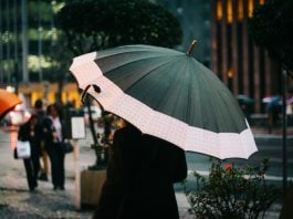 Após uma sequência duradoura de dias de calor e tempo seco, o país deve registrar o maior volume de chuva dos últimos seis meses nos próximos dias. (Foto: Pexels)