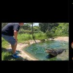 Junto com sua família, ele também administrava o Dingo’s Farm and Reptile Park, um parque de conservação na África do Sul. (Foto: Instagram)