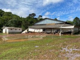 De acordo com o governo do estado, cerca de 60 pessoas, entre bombeiros militares de União da Vitória e funcionários da prefeitura, estão empenhadas nas buscas nos rios Torino e Jangada. (Foto: Governo do Paraná)