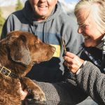 Cachorros podem sentir o estresse de seus tutores (Foto: Unsplash)