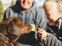 Cachorros podem sentir o estresse de seus tutores (Foto: Unsplash)