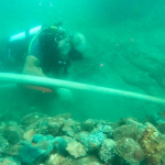 Assim, arqueólogos identificaram vestígios de um naufrágio na região de Ngomeni, na costa de Malindi, que acreditam pertencer ao São Jorge, uma das embarcações da frota que acompanhou Vasco da Gama em sua última viagem rumo à Índia, em 1524. (Foto: Reprodução)