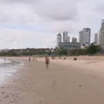 Em nota, a Sudema informou que equipes foram enviadas aos pontos da ocorrência para averiguar as condições de cada local e para coletar amostras de água e dos peixes encontrados nas praias. (Foto: Reprodução)