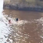 Com isso, ainda suspensa na ponte, tentando sustentar o pé na estrutura com limo, já ferida e bastante cansada, ela aguardou pelo socorro. (Foto: Reprodução)