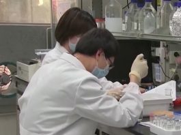 Cientistas japoneses estudam maneira de fazer dentes crescerem (Foto: Record)