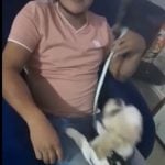 Curioso e preocupado, Dagoberto abriu o zíper e encontrou um pequeno cachorro, acompanhado de um bilhete com instruções detalhadas sobre os cuidados do animal. (Foto: X)