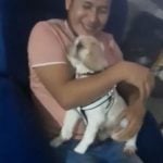 Ele retirou o cachorro da bolsa e o colocou no colo, aguardando que o passageiro retornasse. No entanto, após uma hora de espera, seu pior medo foi confirmado.(Foto: X)