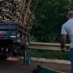 Pessoas que passavam pelo local, acionaram o Corpo de Bombeiros Militar, mas quando a equipe chegou, a vítima estava sem sinais vitais. (Foto: Reprodução/Jornal da Nova)