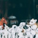 O RG para os pets será emitido por meio do Cadastro Nacional de Animais Domésticos, disponível gratuitamente na plataforma gov.br. (Foto: Unsplash)