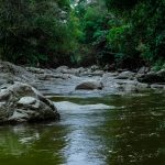 Outro fator crucial para a salinidade são as fontes hidrotermais no fundo do oceano. Nessas profundezas, a água atravessa fendas na crosta terrestre, onde é aquecida pelo magma. (Foto: Pexels)