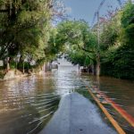 Os casos de secas, por sua vez, contabilizaram 406 até 2023, mais do que quatro vezes a soma da década anterior, de 1992. (Foto: Divulgação)