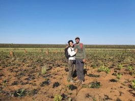 Dennis Hyde e Letícia Alves completaram a impressionante missão de visitar os 75 parques nacionais do Brasil, explorando paisagens que representam a rica diversidade ambiental do país. (Foto: Reprodução)