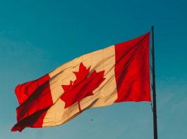 Canadá alerta sobre o risco de uma nova pandemia em (Foto: Unsplash)