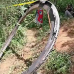 No dia 30 de dezembro, os moradores de Mukuku, uma pequena vila no Quênia, enfrentam um momento de pânico. (Foto: Reprodução)