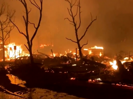 O número de mortes causadas pelos incêndios que vêm assolando Los Angeles subiu para 24. (Foto: Reprodução)