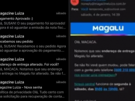 A cozinheira Susan de Sousa Sena, de 35 anos, foi vítima de injúria racial ao receber um e-mail após atualizar seu cadastro na loja Magazine Luiza no último sábado (4). (Foto: Reprodução)