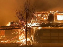 Um novo foco de incêndio surgiu na região de Los Angeles, nos Estados Unidos, na noite desta quarta-feira (8), com chamas em um parque de Hollywood Hills. (Foto: Reprodução)