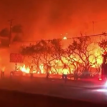 O fogo, que vem tentando ser controlado desde o começo da semana, já consumiu mais de 160 quilômetros quadrados, uma área maior que a de toda cidade de São Francisco, segundo levantamento do Cal Fire. (Foto: Reprodução)