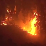 Número de mortos nos incêndios em Los Angeles sobe para 24. (Foto: Reprodução)