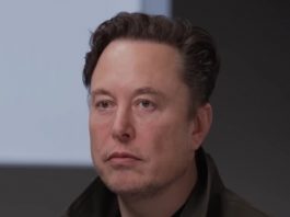 Elon Musk muda os algoritmos do X (Foto: Insider News)