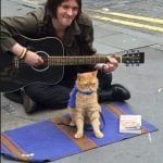 Além disso, James escreveu outros livros relacionados a Bob e usou sua história para inspirar e ajudar outras pessoas, apoiando instituições de caridade voltadas para sem-teto e resgate de animais. (Foto: Facabook)