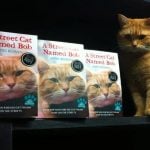 James escreveu o livro "A Street Cat Named Bob" (Um Gato de Rua Chamado Bob), publicado em 2012, onde narra sua experiência ao lado do gato. (Foto: Facabook)