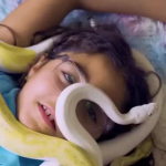 Pai revela que filha de 9 anos divide o quarto com 18 cobras. (Foto: YouTube)