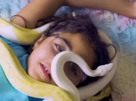 Pai revela que filha de 9 anos divide o quarto com 18 cobras. (Foto: YouTube)