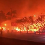 Estes formaram 29 equipes e estão trabalhando na linha de frente para atuar junto ao Departamento de Florestas e Proteção contra Incêndios. (Foto: Reprodução)