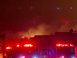 Presidiários são soltos para ajudar no combate a incêndios em Los Angeles. (Foto: Reprodução)