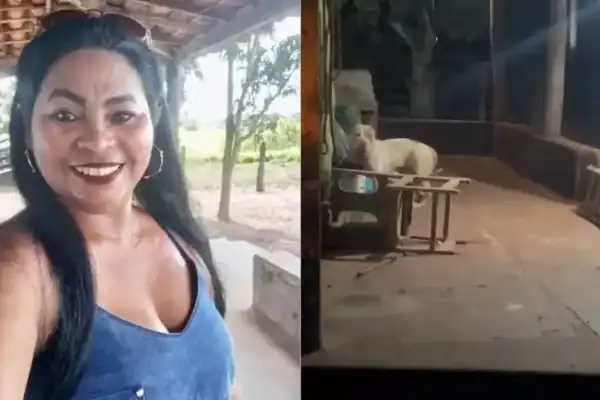 Marido de mulher morta por Pitbull presta depoimento e revela novos detalhes