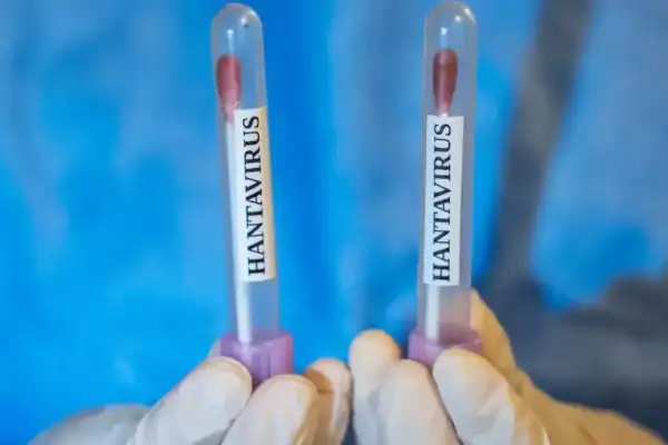 Brasil registra casos de hantavírus e acende sinal de alerta; confira quantos