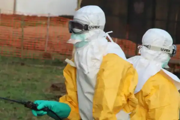 Ebola: entenda a doença classificada como nova emergência global